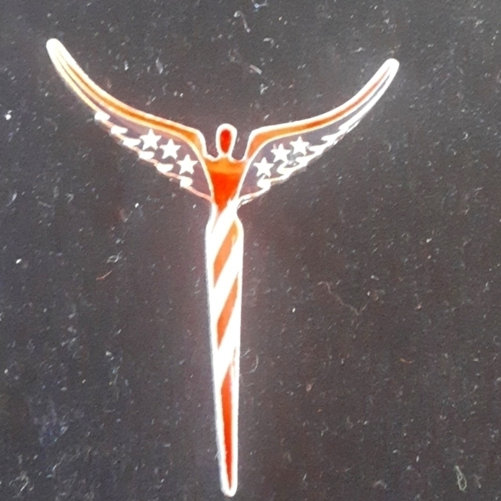 Lavaggi American Angel Pin - Picture 2 of 5